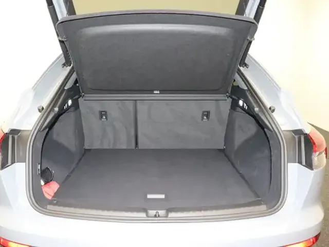 Audi 50