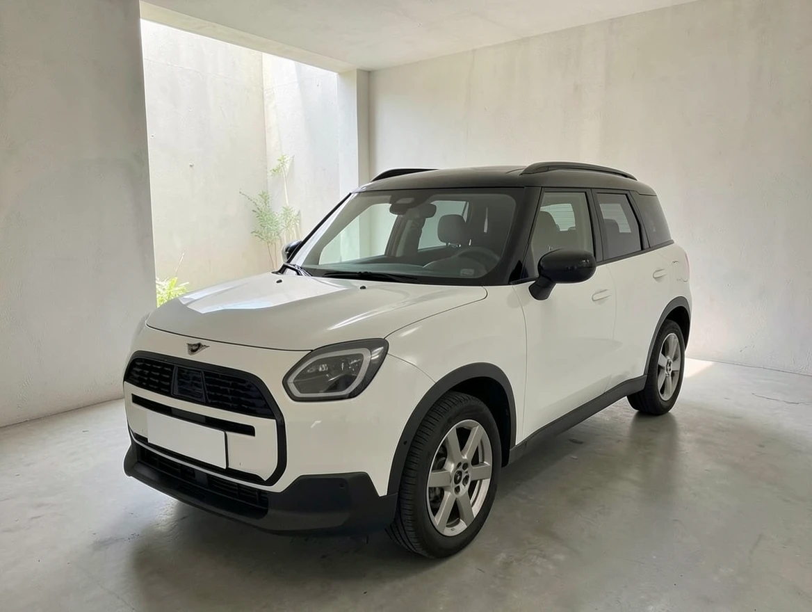 Mini Countryman C