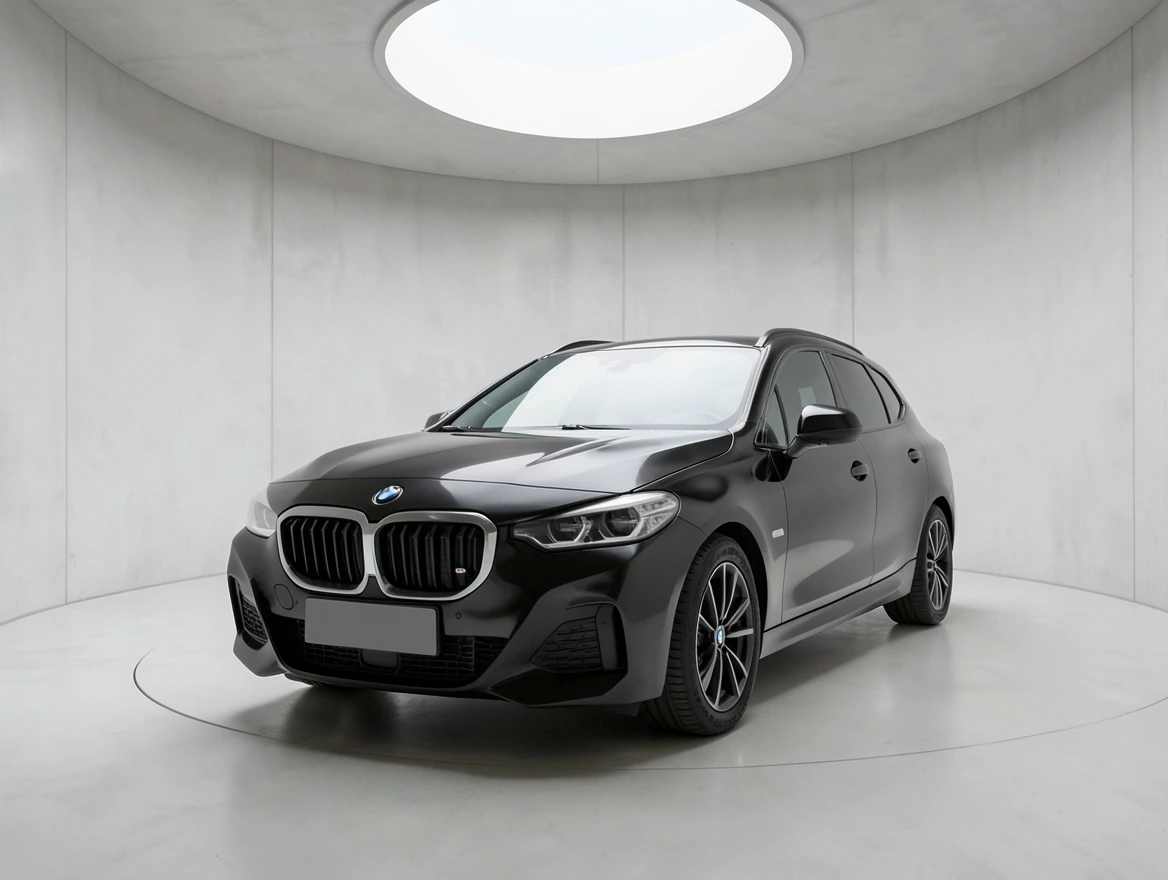 BMW 223