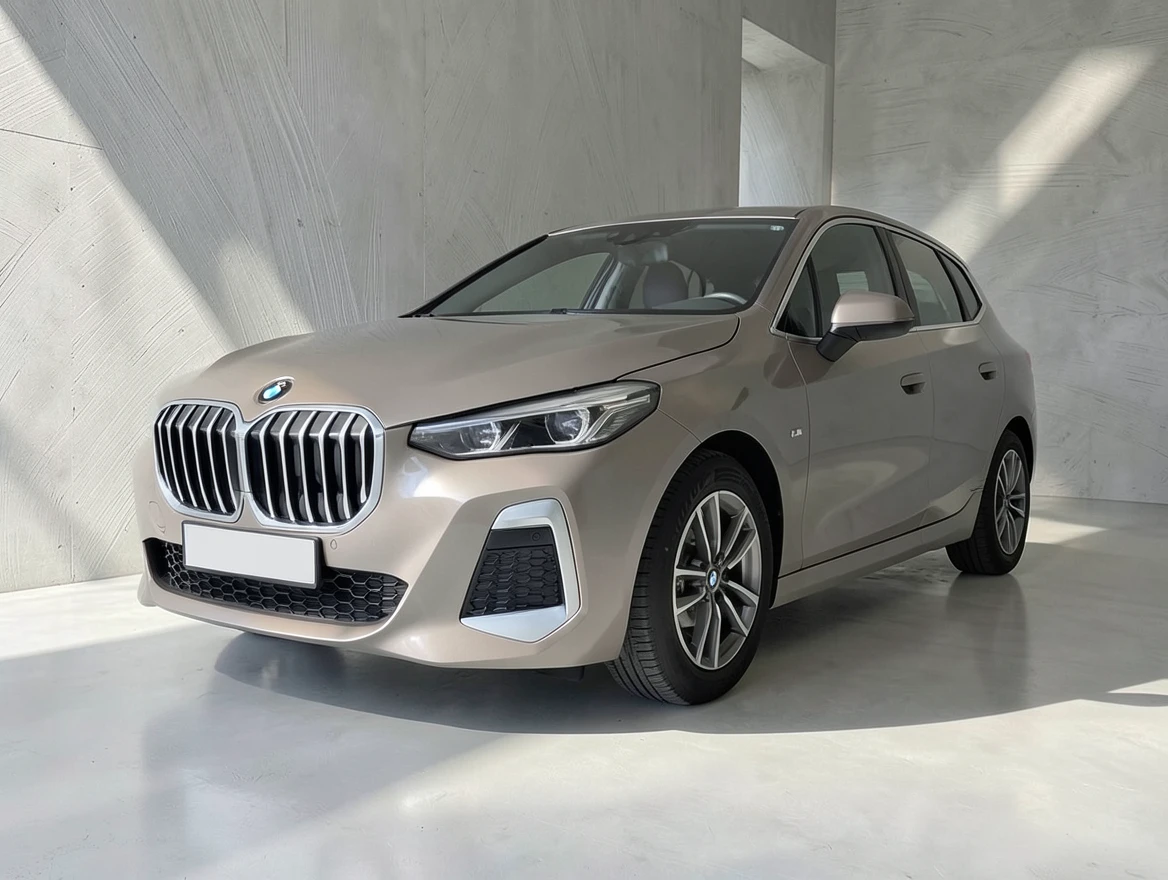 BMW 223