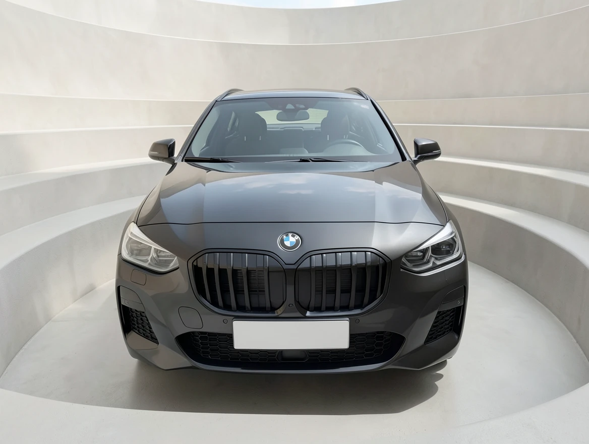 BMW 223
