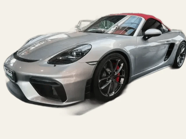 Porsche Sonstige
